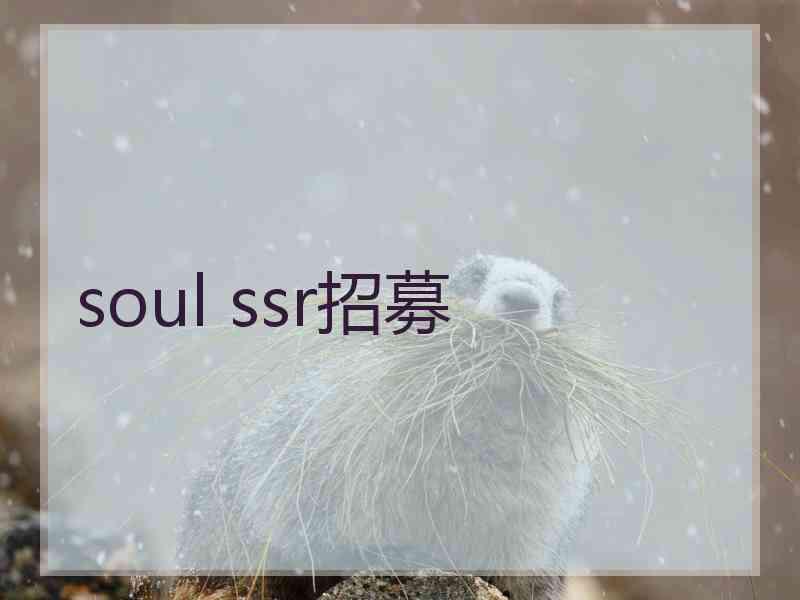 soul ssr招募 soul ssr招募