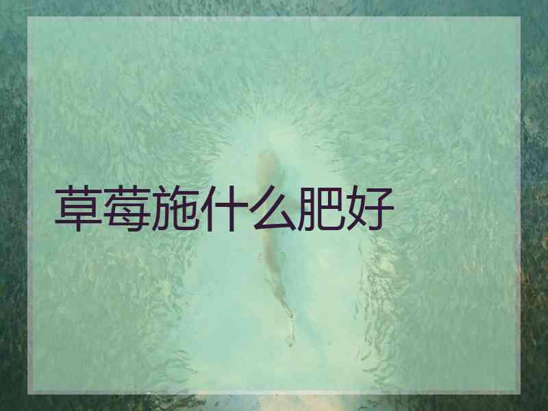 草莓施什么肥好 草莓施什么肥好