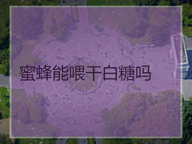 蜜蜂能喂干白糖吗 蜜蜂能喂干白糖吗
