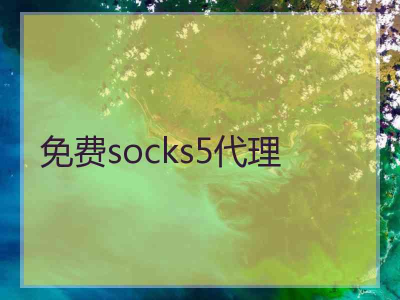 免费socks5代理