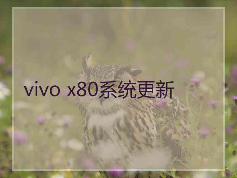 vivo x80系统更新 vivo x80系统更新