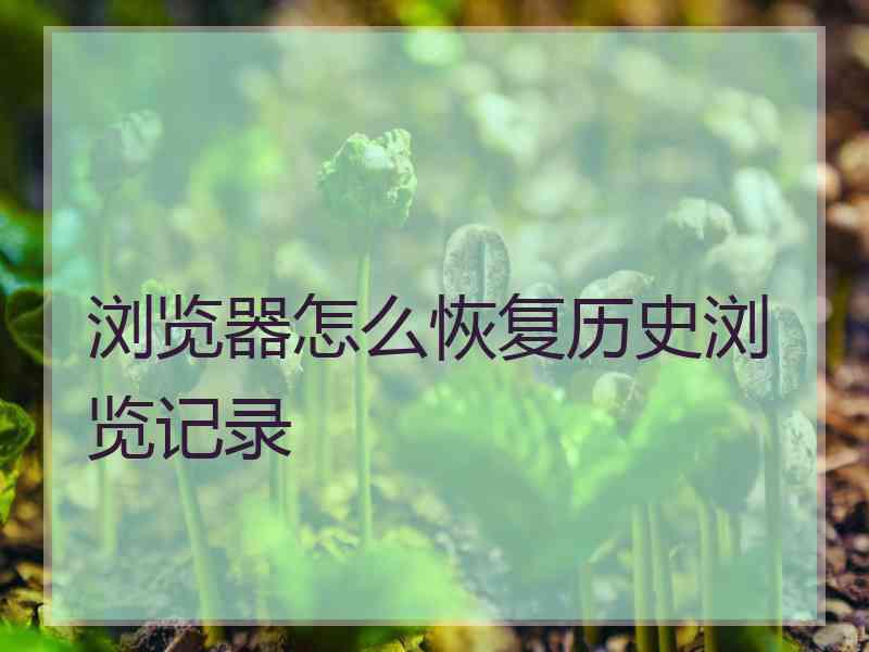 浏览器怎么恢复历史浏览记录 浏览器怎么恢复历史浏览记录