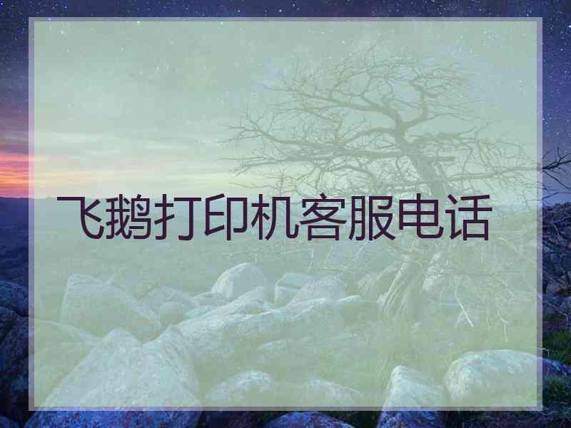 飞鹅打印机客服电话 飞鹅打印机客服电话