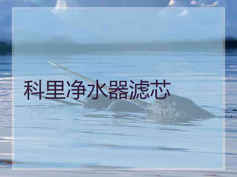 科里净水器滤芯 科里净水器滤芯