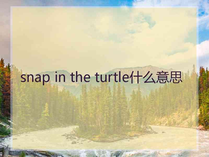 snap in the turtle什么意思