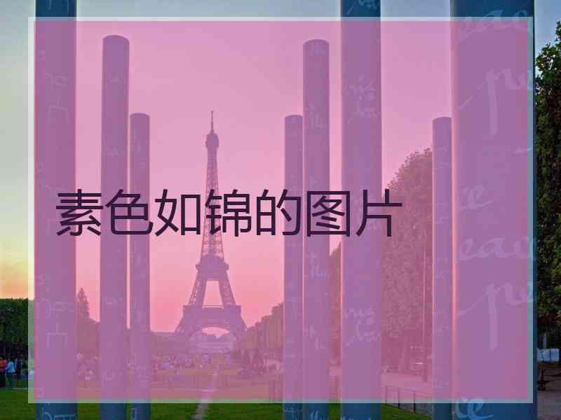 素色如锦的图片 素色如锦的图片