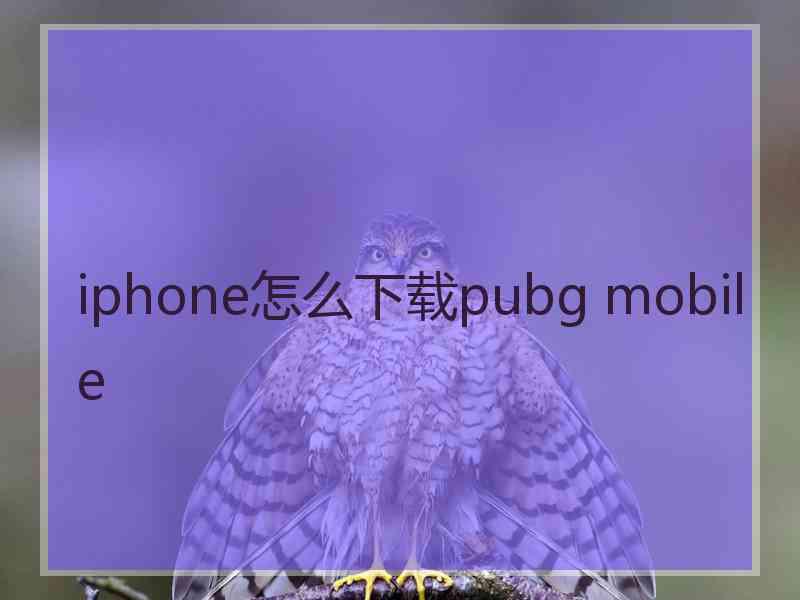 iphone怎么下载pubg mobile