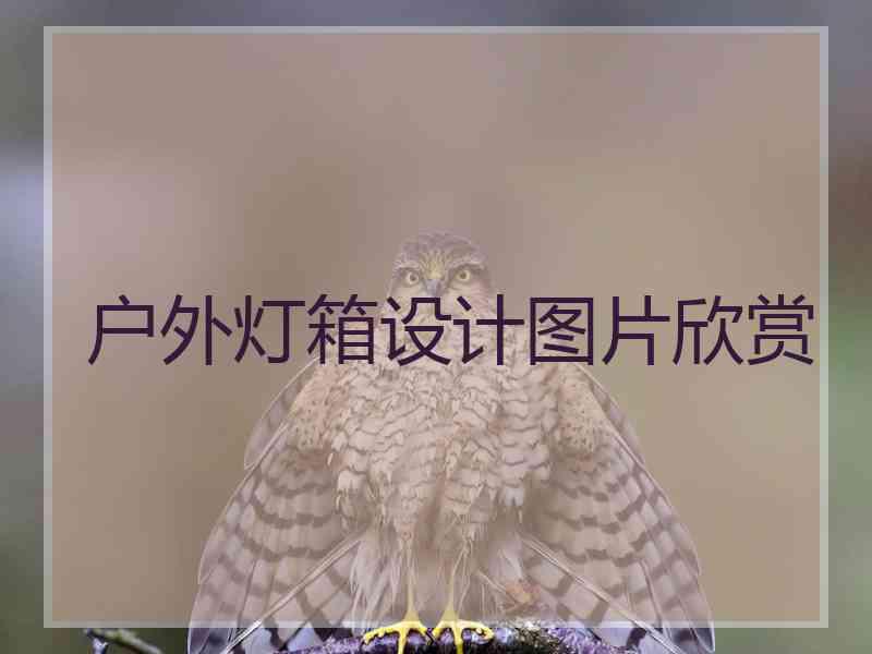 户外灯箱设计图片欣赏 户外灯箱设计图片欣赏