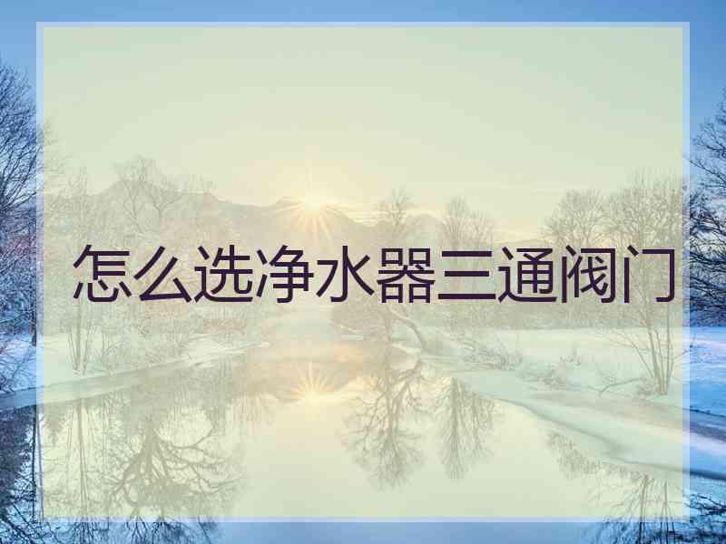 怎么选净水器三通阀门 怎么选净水器三通阀门
