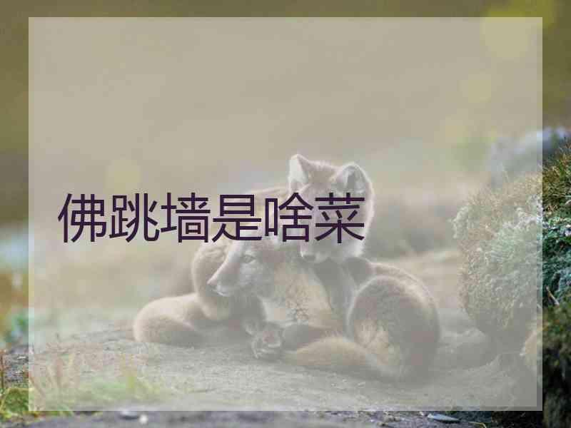佛跳墙是啥菜 佛跳墙是啥菜
