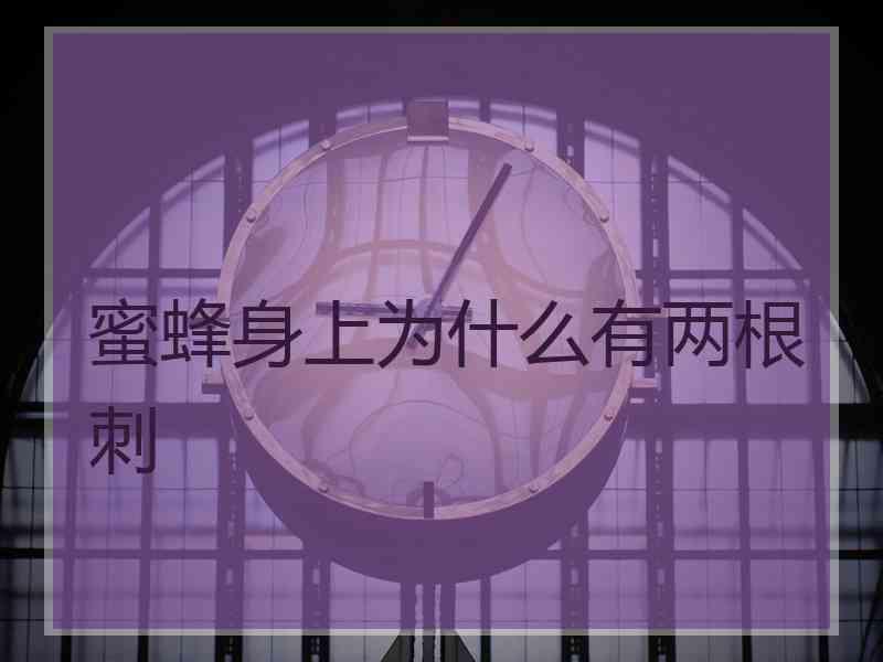 蜜蜂身上为什么有两根刺 蜜蜂身上为什么有两根刺