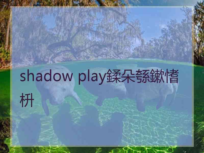 shadow play鍒朵綔鏉愭枡 shadow play鍒朵綔鏉愭枡