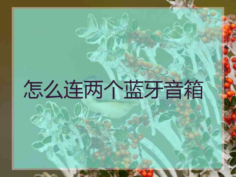 怎么连两个蓝牙音箱 怎么连两个蓝牙音箱