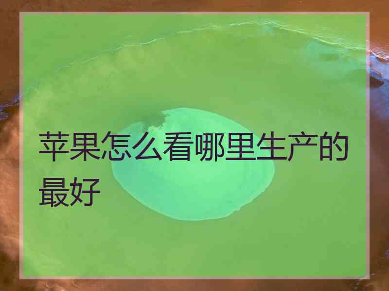 苹果怎么看哪里生产的最好 苹果怎么看哪里生产的最好