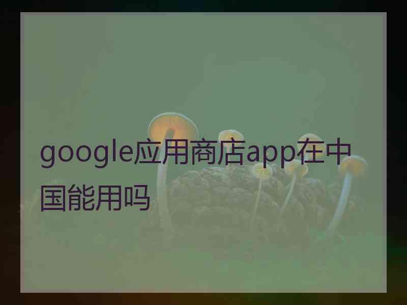 google应用商店app在中国能用吗