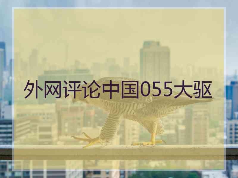 外网评论中国055大驱 外网评论中国055大驱