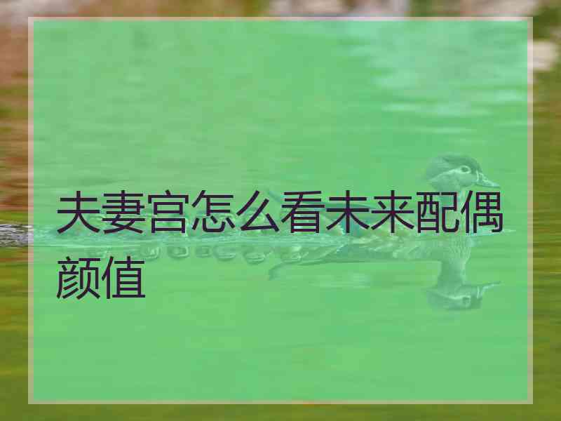 夫妻宫怎么看未来配偶颜值 夫妻宫怎么看未来配偶颜值