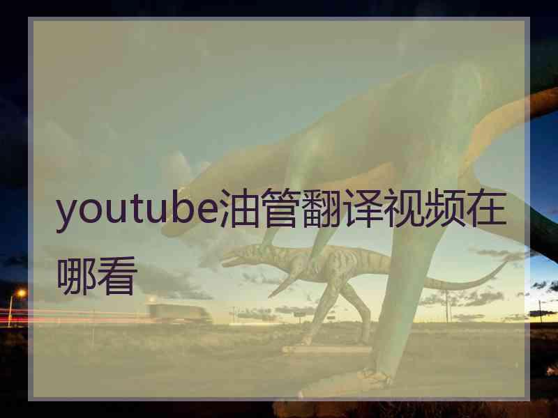 youtube油管翻译视频在哪看 youtube油管翻译视频在哪看