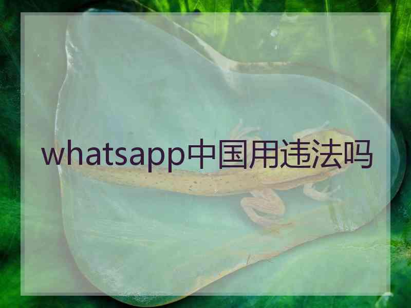 whatsapp中国用违法吗