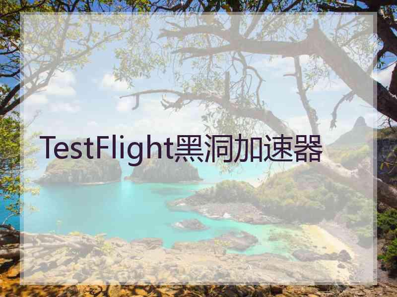 TestFlight黑洞加速器 TestFlight黑洞加速器