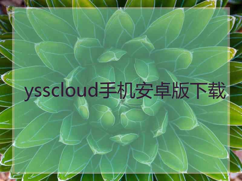ysscloud手机安卓版下载 ysscloud手机安卓版下载