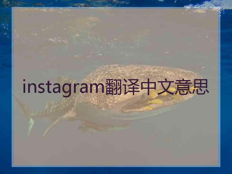 instagram翻译中文意思 instagram翻译中文意思