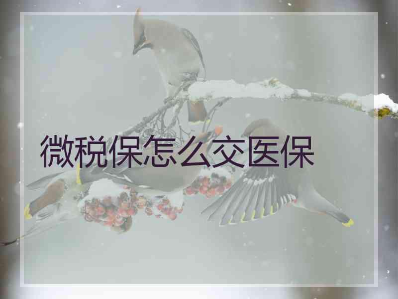 微税保怎么交医保 微税保怎么交医保