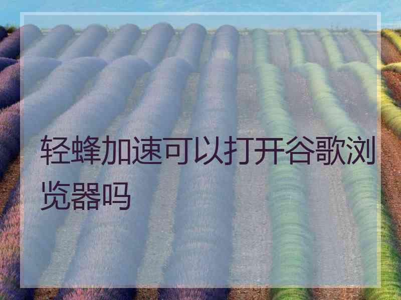 轻蜂加速可以打开谷歌浏览器吗 轻蜂加速可以打开谷歌浏览器吗