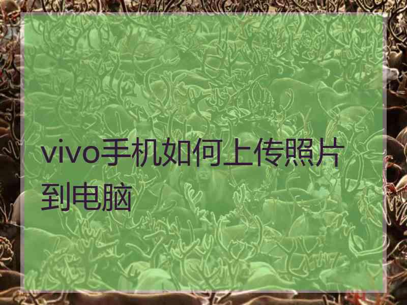 vivo手机如何上传照片到电脑 vivo手机如何上传照片到电脑