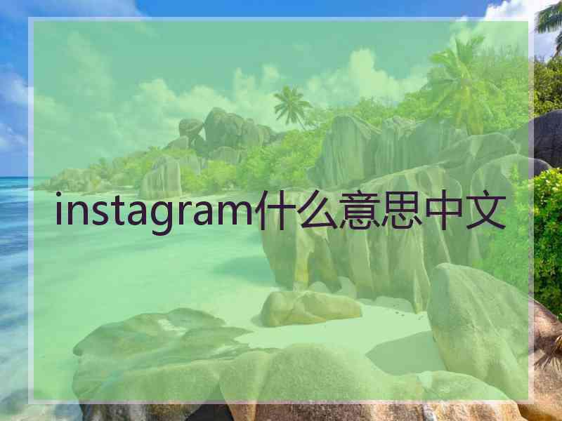 instagram什么意思中文