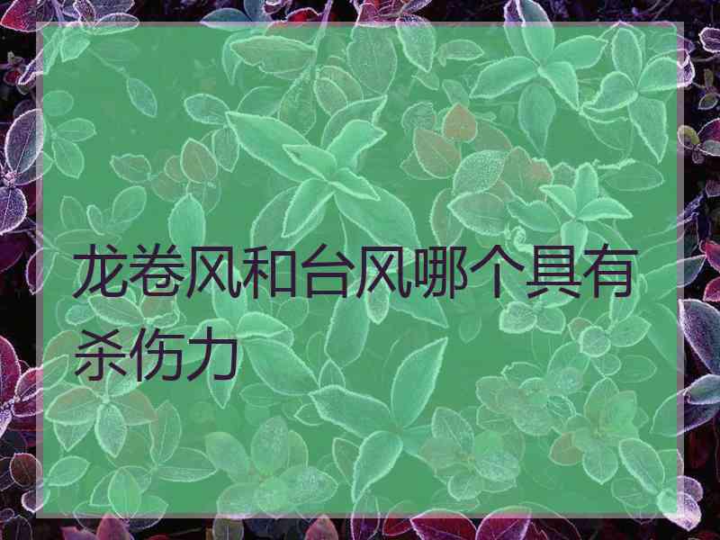 龙卷风和台风哪个具有杀伤力 龙卷风和台风哪个具有杀伤力