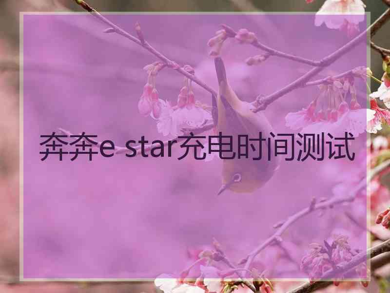 奔奔e star充电时间测试