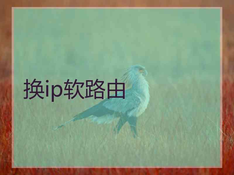 换ip软路由