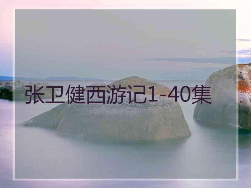 张卫健西游记1-40集