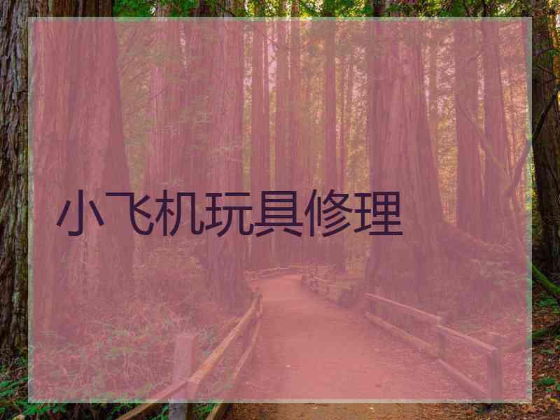 小飞机玩具修理
