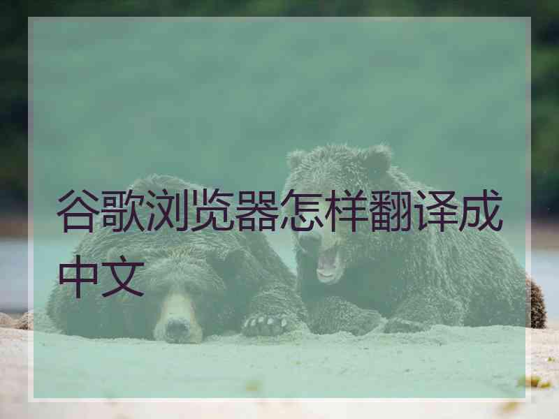 谷歌浏览器怎样翻译成中文