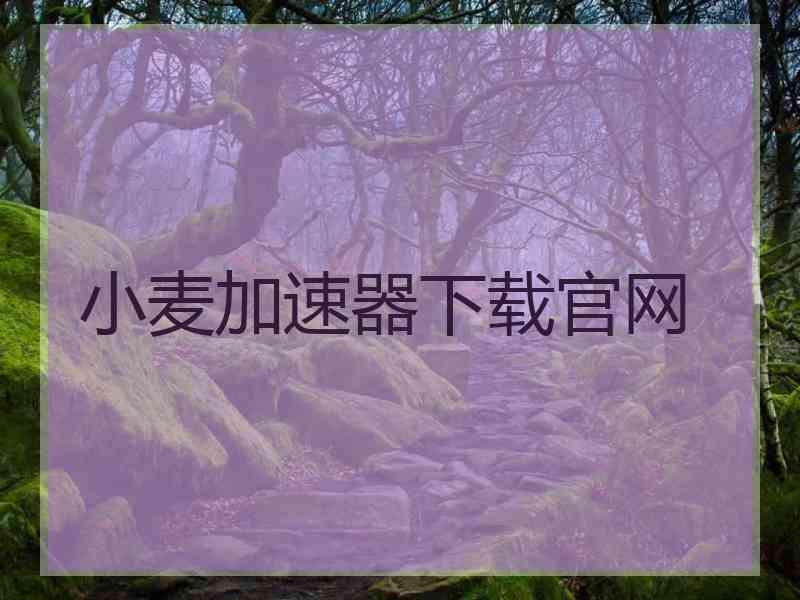 小麦加速器下载官网