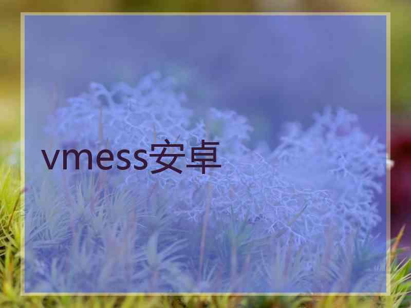 vmess安卓