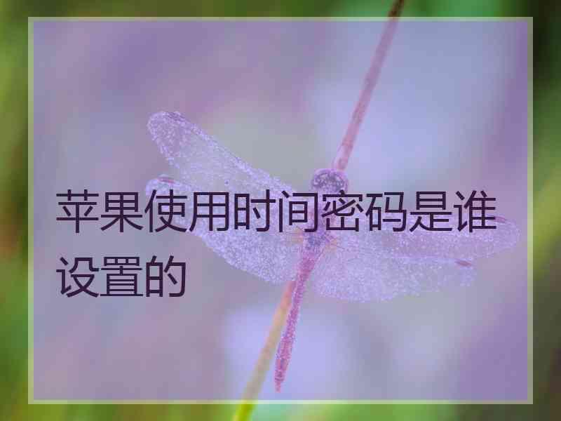 苹果使用时间密码是谁设置的