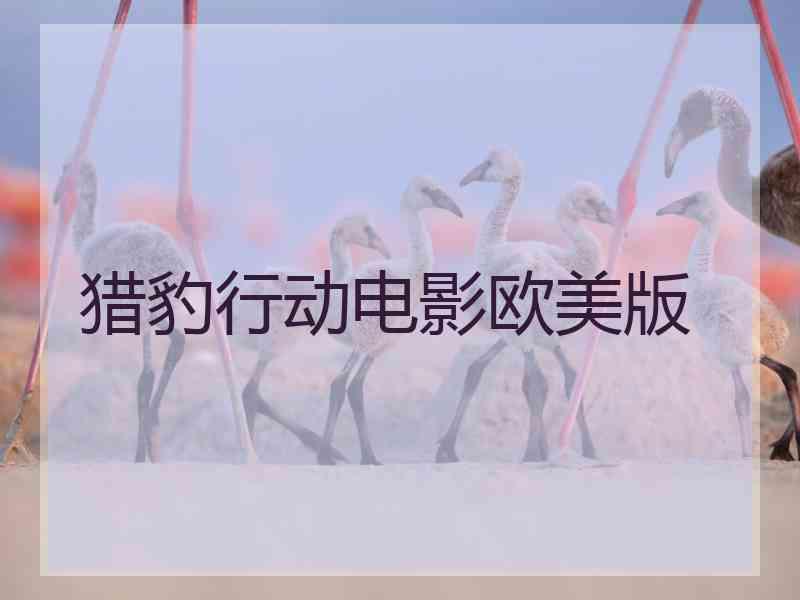 猎豹行动电影欧美版