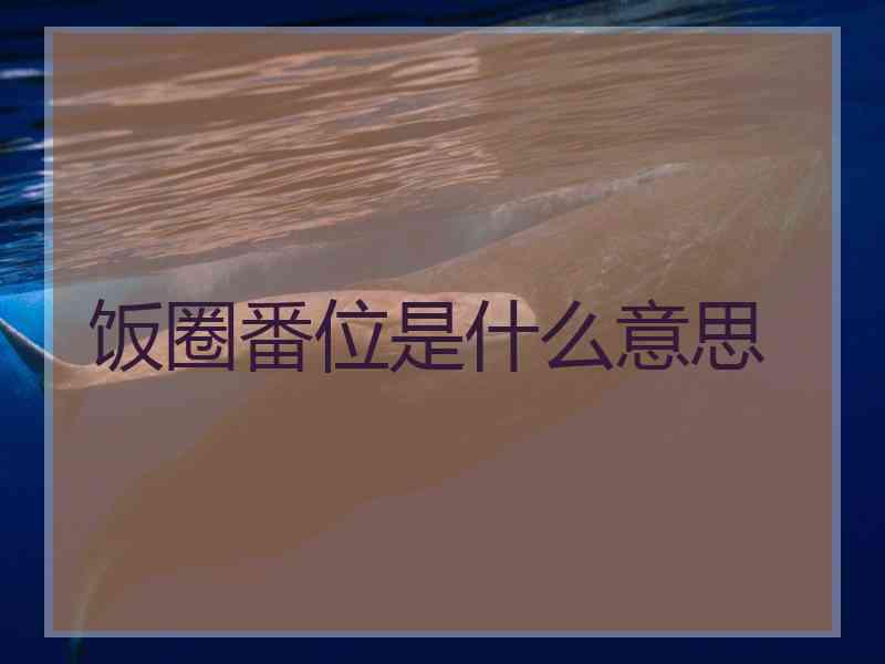 饭圈番位是什么意思
