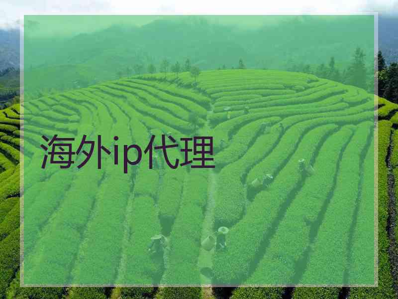 海外ip代理