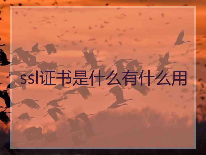 ssl证书是什么有什么用