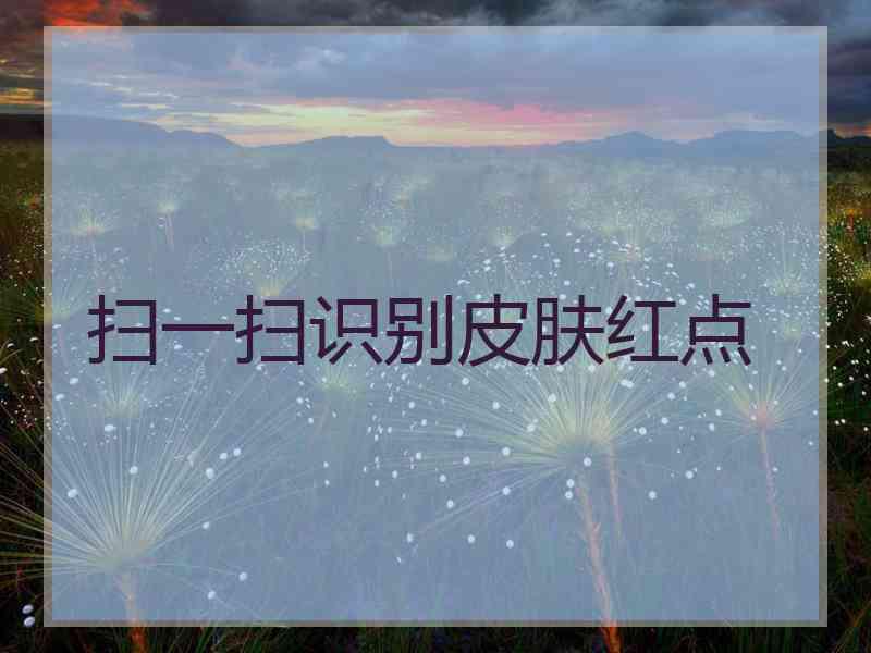扫一扫识别皮肤红点