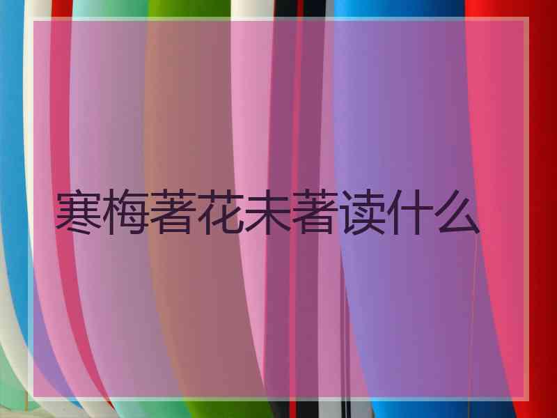 寒梅著花未著读什么