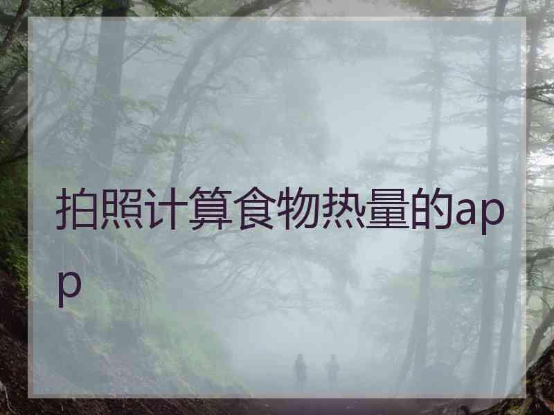拍照计算食物热量的app