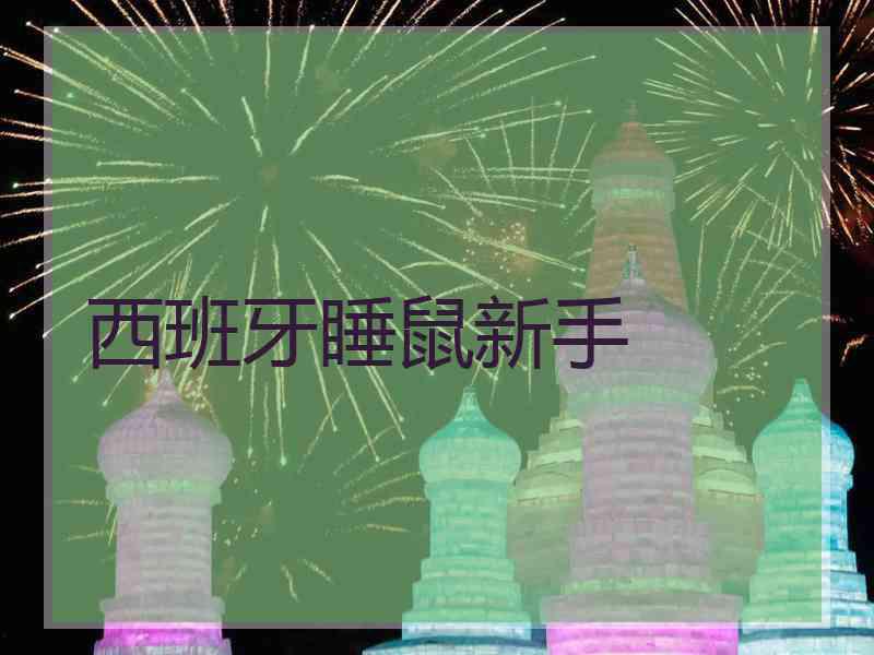 西班牙睡鼠新手