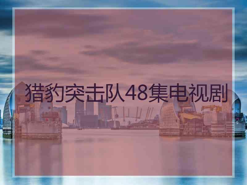 猎豹突击队48集电视剧
