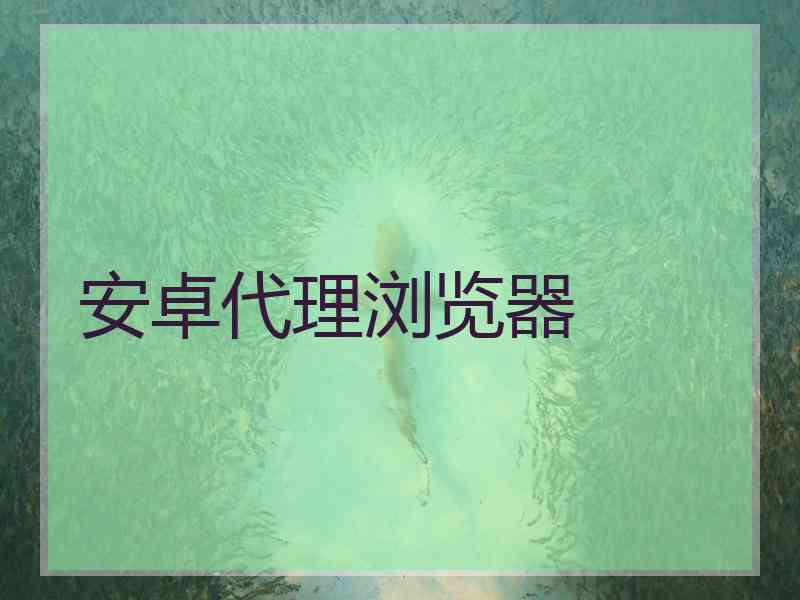 安卓代理浏览器