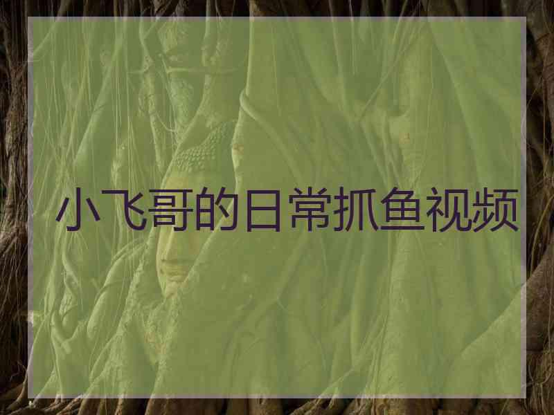 小飞哥的日常抓鱼视频